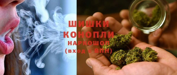 ПСИЛОЦИБИНОВЫЕ ГРИБЫ Дмитриев