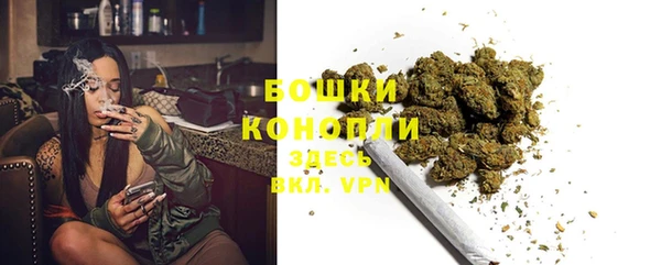 дурь Дмитровск