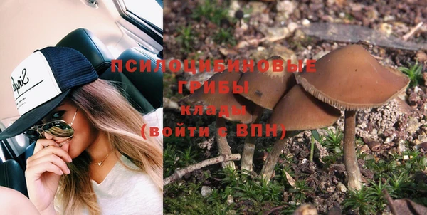 2c-b Ельня