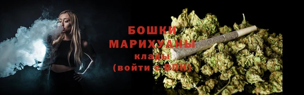 ПСИЛОЦИБИНОВЫЕ ГРИБЫ Дмитриев