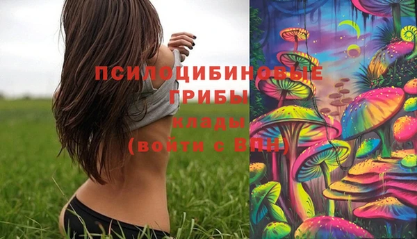ПСИЛОЦИБИНОВЫЕ ГРИБЫ Дмитриев