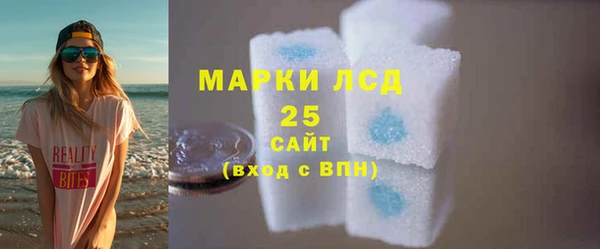 ПСИЛОЦИБИНОВЫЕ ГРИБЫ Дмитриев