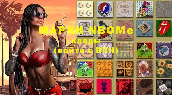дмт Елизово