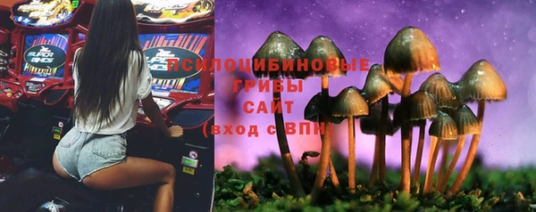 а пвп мука Дмитров