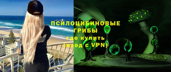 дурь Дмитровск
