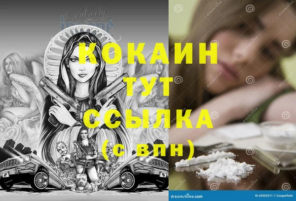 ПСИЛОЦИБИНОВЫЕ ГРИБЫ Дмитриев